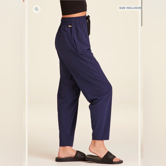 NWT ALALA Commuter Pant Navy s $145 bandier carbon38 - Picture 10 of 10